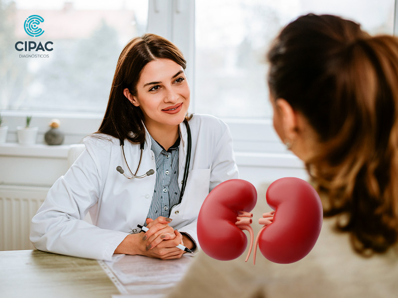 Exames para doenças renais: a patologia ajuda a fechar o diagnóstico