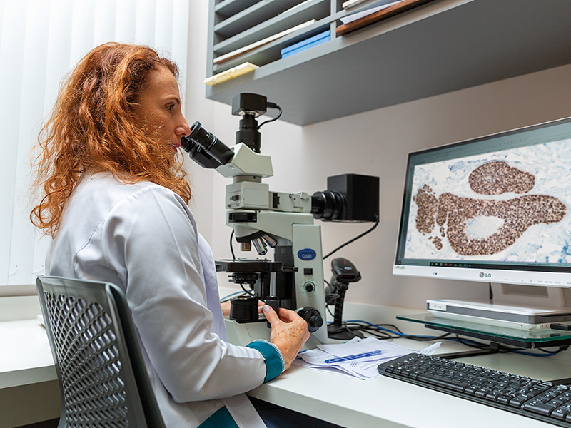 Quais fatores podem interferir na imunohistoquímica (IHQ)?